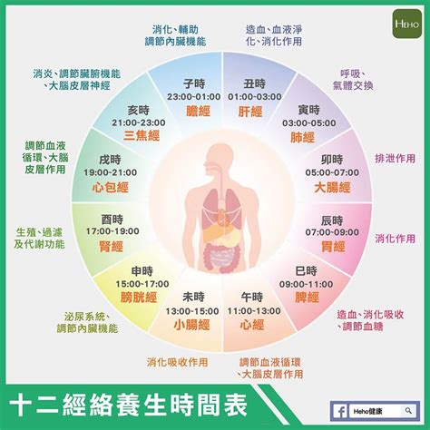 五行 時間|一張圖看十二經絡養生時間表，依循作息養生事半功倍！